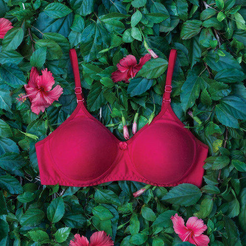 Non-padded Plain T-shirt Bra For Ladies, Ideal For Great Support Under  T-shirts, Inner Wear, Red Color, Size: 30-38 B at Best Price in Ernakulam