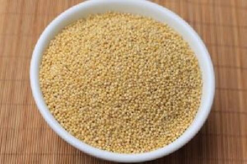 Organic Foxtail Millet for Food