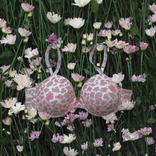 Printed Padded Under Wired Cotton Bra For Ladies, Skin Friendly, Mixed  Color, Size : 32-38 B And C, Inner Wear Capacity: 4 at Best Price in  Ernakulam