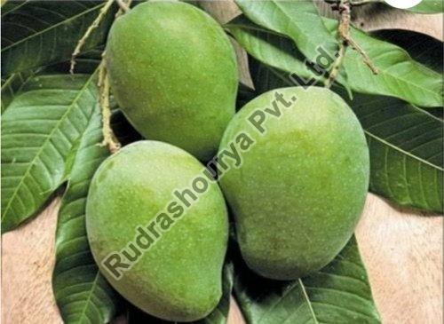 Natural Fresh Banganapalli Mango