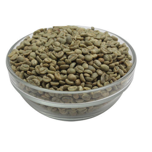 Possessing Pure Chlorogenic Acid And Rich In Antioxidant Green Coffee Beans Grade: A Grade
