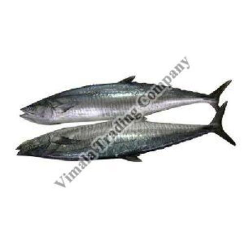 Seafood Frozen Seer Fish For Cooking