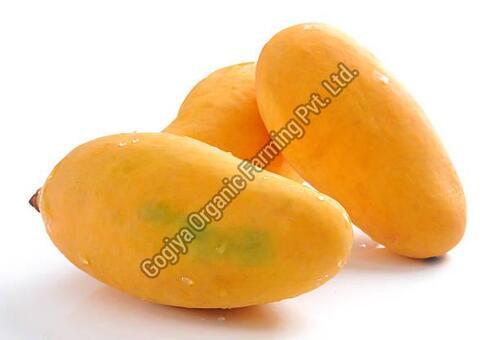 Yellow Natura Fresh Langra Mango