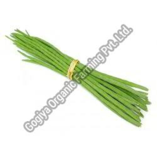 Natural Fresh Green Drumsticks for Cooking