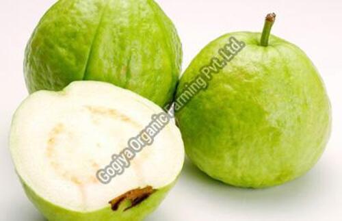 Natural Fresh White Guava