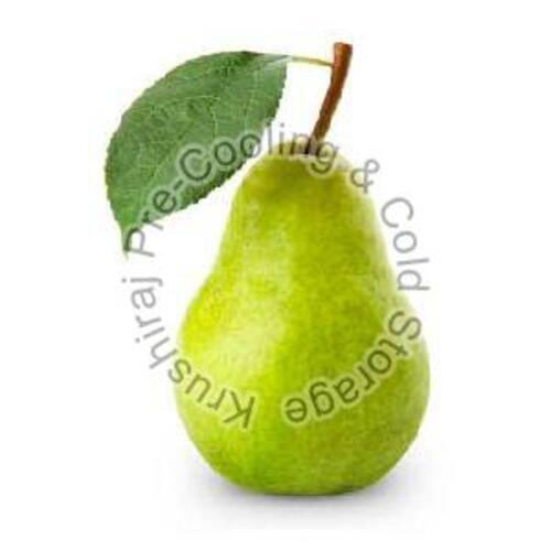 Natural Green Fresh Pear Fruits