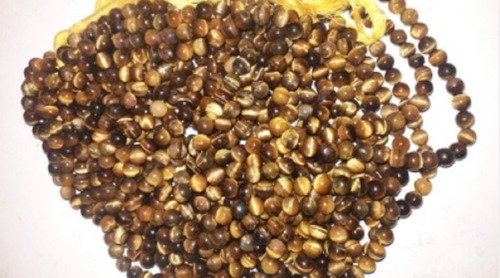 Yellow Natural Polished Tiger Eye Beads