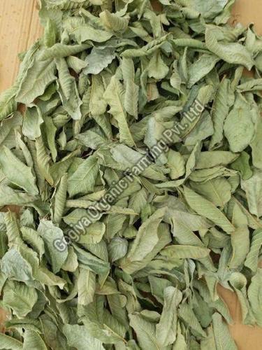 Organic Dry Guava Leaves Grade: A