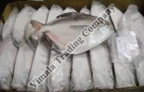 Frozen Silver Pomfret Fish For Cooking