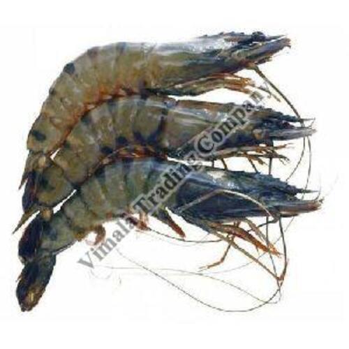 Frozen Tiger Prawns For Cooking