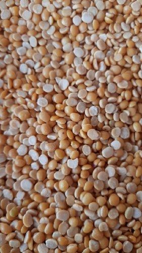 Unpolished Toor Dal, High In Protein, Yellow Color, Health Friendly, Packaging Size : 50 Kg