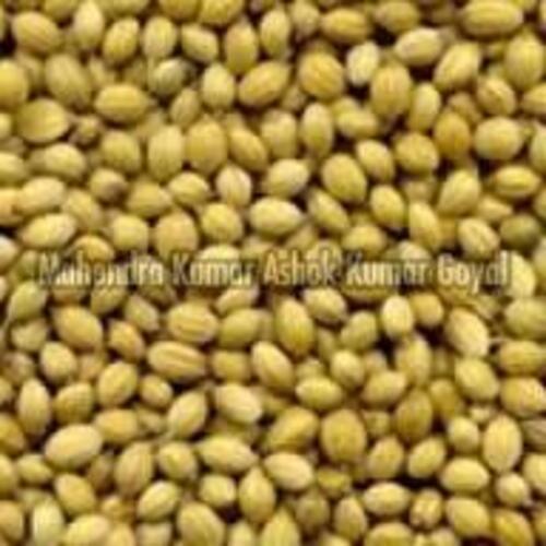 Organic Green Coriander Seeds For Cooking