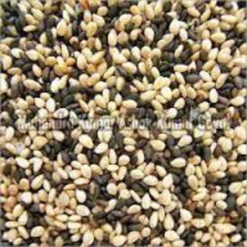 Natural Sortex Sesame Seeds