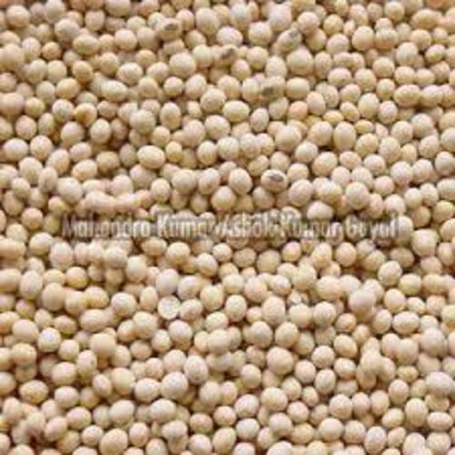 Natural Soybean Seeds for Cooking