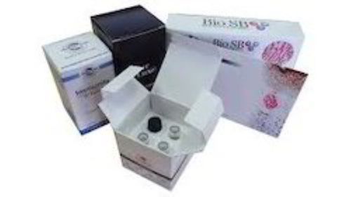 Pharma Box Printing Service