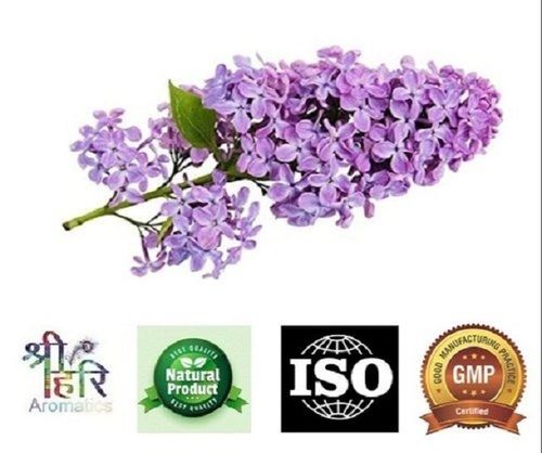 100% Pure Lilac Flowers Essential Oils For Skin Care, High Quality