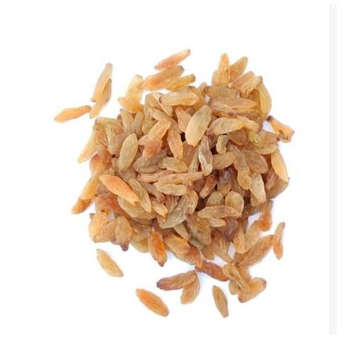 Bold Size Organically Produced Long Size Sweet Natural Dry Golden Raisins Grade: A Grade