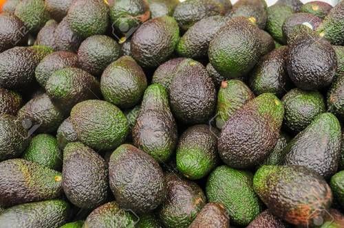 Common Fresh Avocado (Hass Avocado)