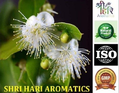 Lemon Myrtle Essential Oil For Cosmetic Uses, 100% Pure And Natural, Packaging Size : 1,5,10,20,50 Kg