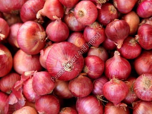 Maturity 100% High Quality Natural Taste Healthy Organic Fresh Red Onion
