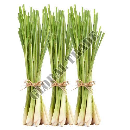 Natural Fresh Lemongrass - 100% Pure, Good Quality, High Protein & Magnesium Content | Cooked, Chopped, Long Shape, Store in Cool & Dry Places