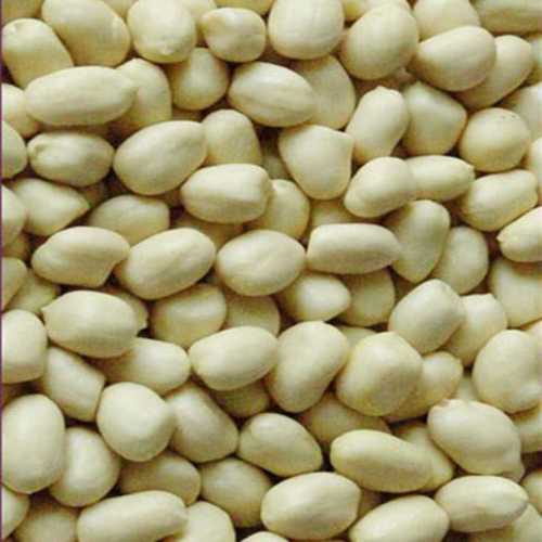 Raw Peanuts - Red Color, Long Shelf Life, Easy to Digest, Rich in Taste, Delivered Within Committed Time, Hygienically Packed