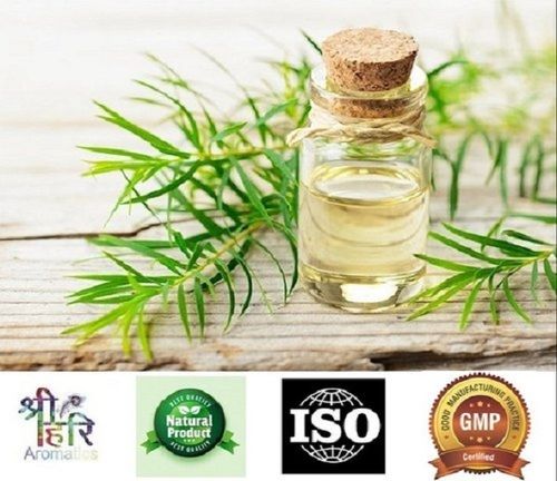 Tea Tree Essential Oil For Aroma Incense, 100% Pure And Natural, Premium Quality