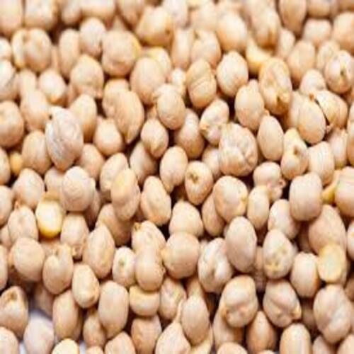 Size 6mm to 8 Mm Natural Taste Dried Healthy Organic White Chickpeas