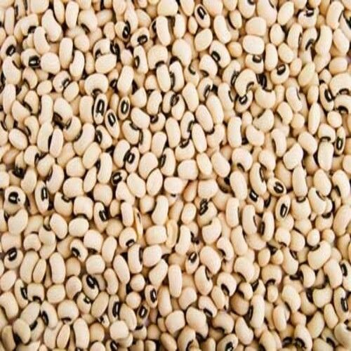 Energy 115.7 Calories Protein 7.73G Iron 2.51Mg Natural Taste Healthy Dried Black Eyed Peas Grain Size: Standard