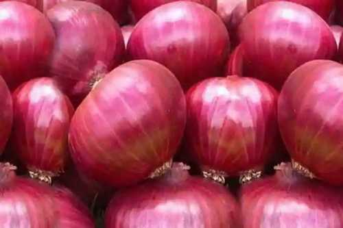 Round Fresh Red Onions Vegetables