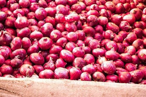 High Quality Natural Taste Healthy Organic Fresh Red Onion