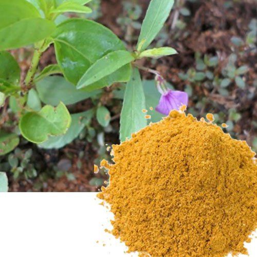 Attentively Made Pure Natural Rathna Purush Leaves Powder