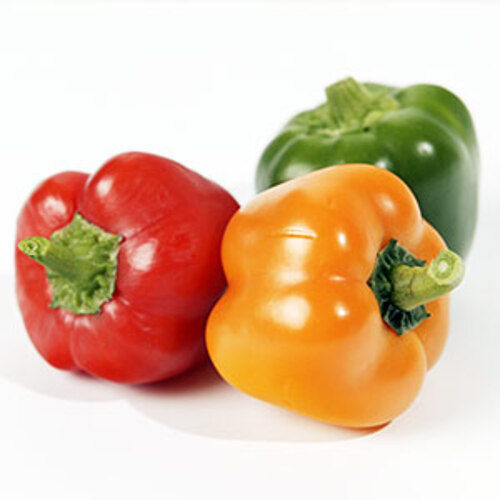 Healthy Natural Taste Fresh Red Green And Yellow Capsicum Shelf Life: 5-7 Days