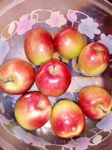 Kashmiri Apple Ber, Sweet And Smooth, A Grade Quality, Red Color