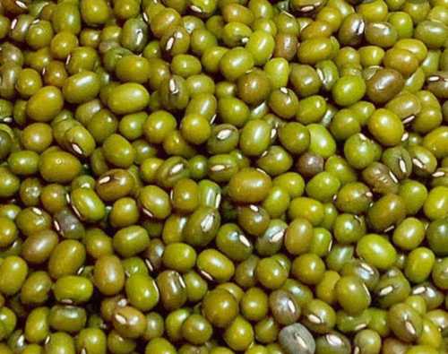 Unpolished Green Moong Daal Crop Year: Current Years