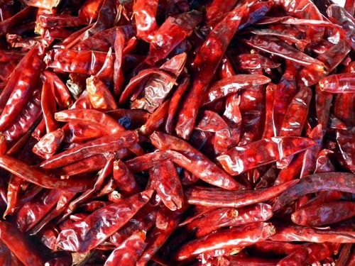 Hygienic Packing Rich In Color Spicy Taste Organic Dry Red Chilli