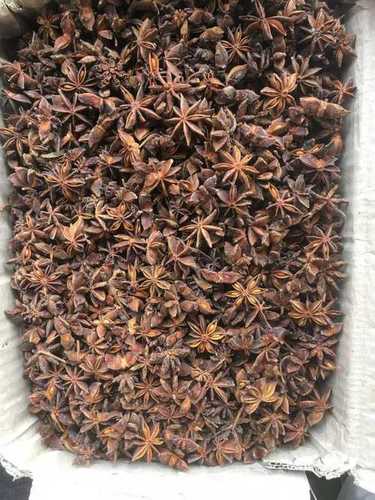 Hygienically Packed Good Quality Star Anise Seed