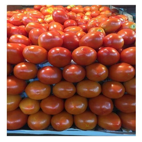 No Preservatives Natural Taste Healthy Red Fresh Tomato