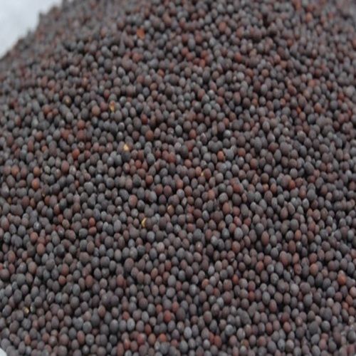 Organic Black Mustard Seeds - 200g & 500g Pack Sizes | Natural Taste, Non Harmful, Very Good Quality, Ideal for Cooking