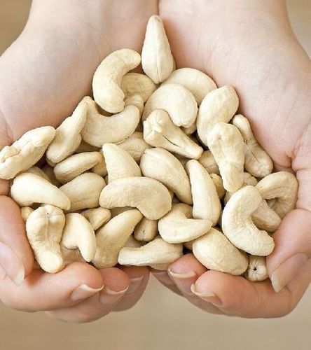 Cashew Nut Kernels Dried Fruits