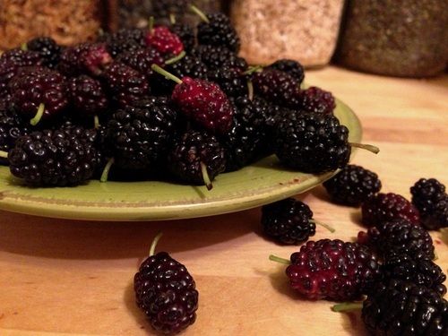 Natural Fresh Black Mulberry