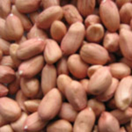 Admixture 1% Oil Content 42% - 48% Natural Fine Taste Healthy Brown Peanuts