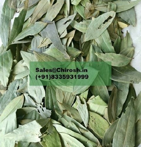  चिरोश इंटरनेशनल हैंडपिक्ड सेमी क्लीन सी ड्राइड बे लीफ, अच्छी क्वालिटी, हरा रंग 