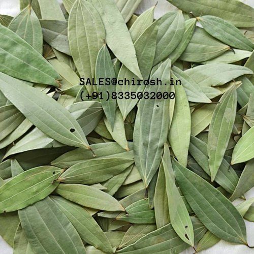 Handpicked Bay Leaf, Trusted Quality, Green Color, Dried And Organic, No Stem, No Dust