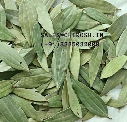 Manually Graded Handpicked Clean A Bay Leaf, No Stem, No Dust, Dried And Organic, Green Color