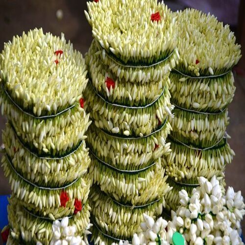 Natural Fresh Soft Attractive White Madurai Jasmine Flower