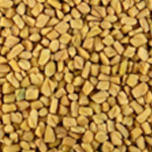 Particle Size 4mm-6mm Moisture 11% Natural Taste Dried Healthy Fenugreek Seeds