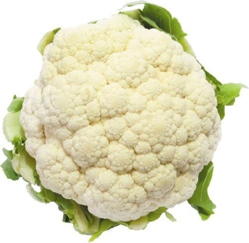 A Grade Quality Cauliflower 100% Fresh And Natural, Hygienically Safe To Eat, White Color