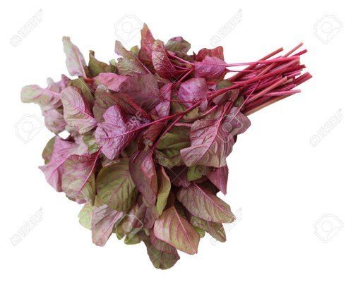 Amaranthus Spinach, Widely Used For The Preparation Of Various Delicious Dishes, 100% Fresh And Natural, Good Quality