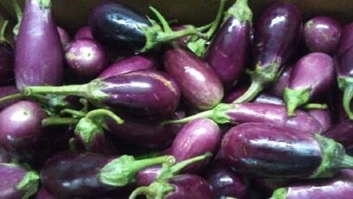 Solid Good Quality Brinjal, 100% Fresh And Natural, Natural Taste, Purple Color